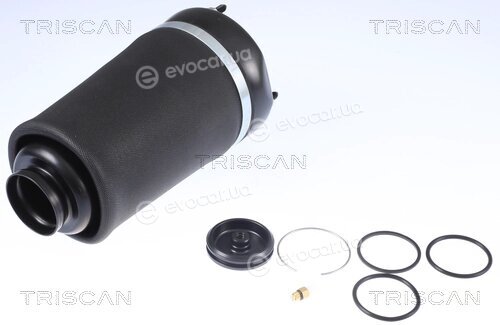 Triscan 8720 23101