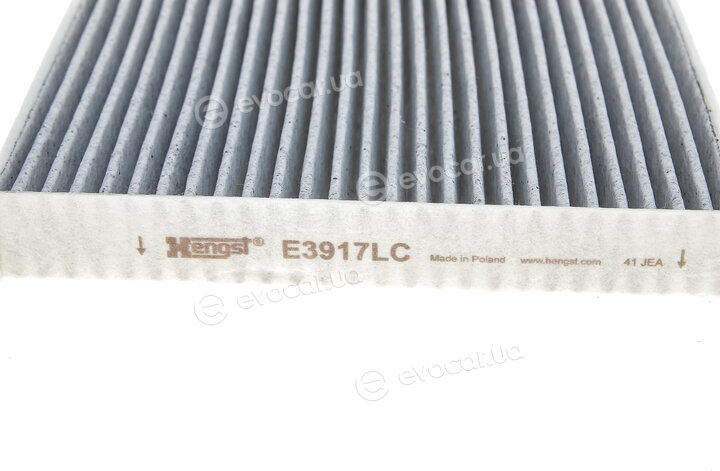 Hengst E3917LC
