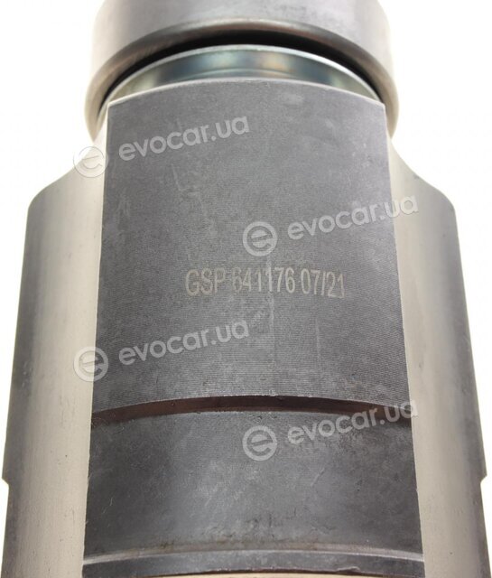 GSP 641176