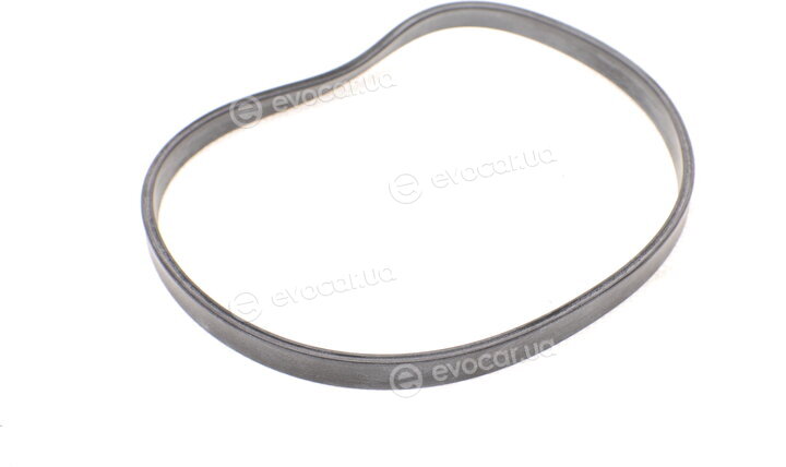 Blue Print ADG02369