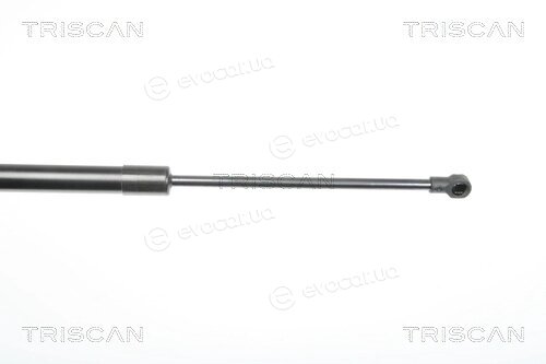 Triscan 8710 29281