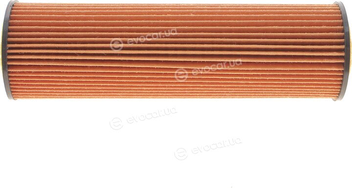 Solgy 101099