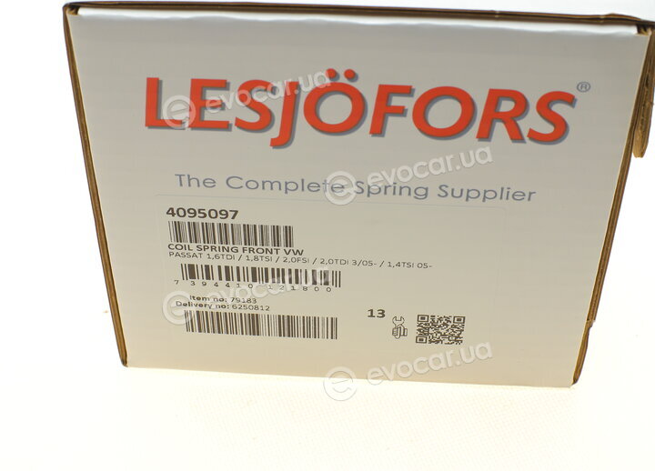 Lesjofors 4095097