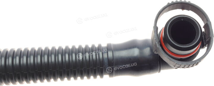 Bogap B1210166
