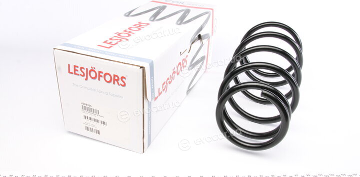 Lesjofors 4288336