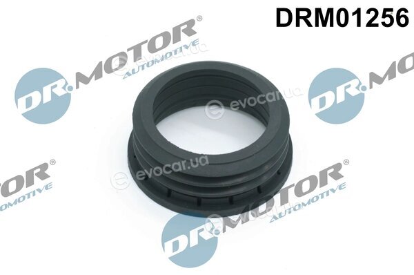 Dr. Motor DRM01256