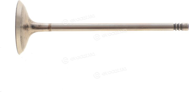 Mahle 081 VE 31396 000