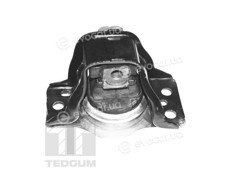Tedgum TED59889