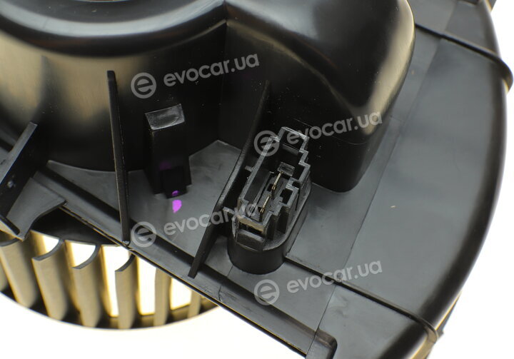 AIC 54401