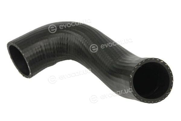 Thermotec DCG262TT