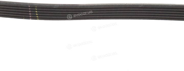 Gates 6PK1035XS