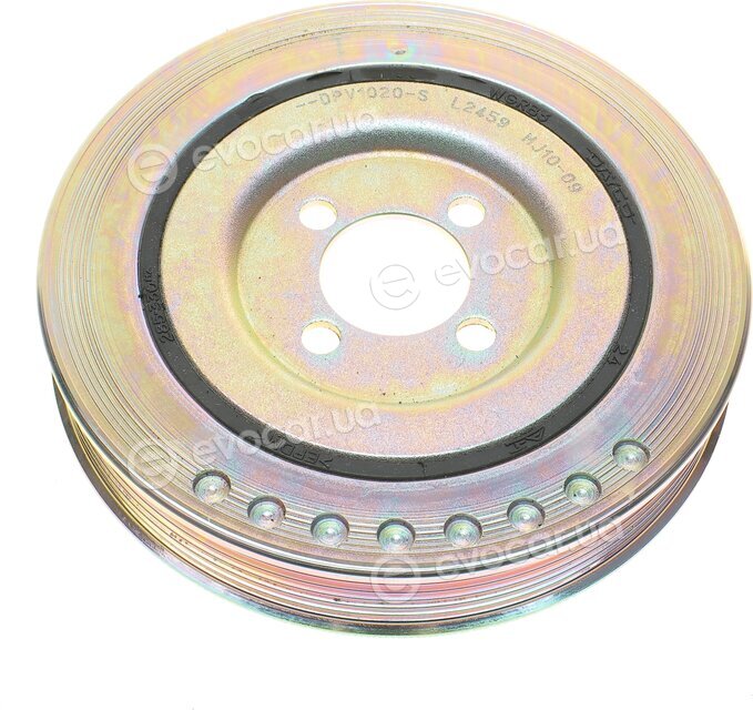 Dayco DPV1020