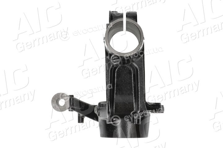 AIC 55842