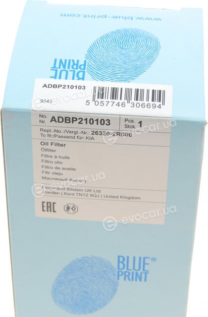 Blue Print ADBP210103