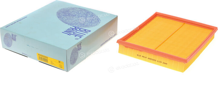 Blue Print ADG02202