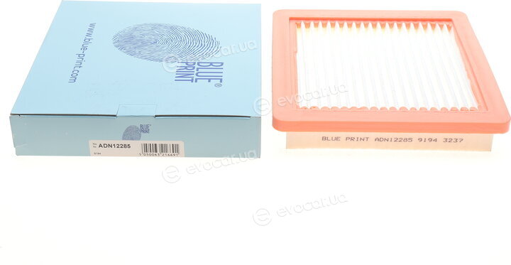 Blue Print ADN12285