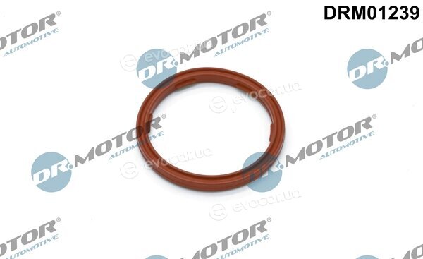 Dr. Motor DRM01239