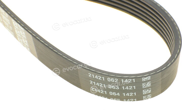 Dayco 6PK1510