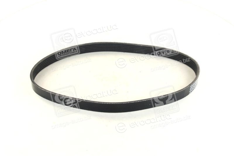 Dayco 6PK730