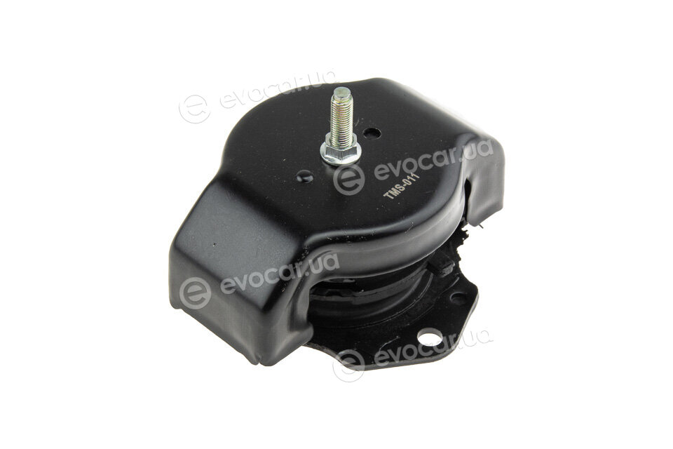 NTY ZPS-MS-011