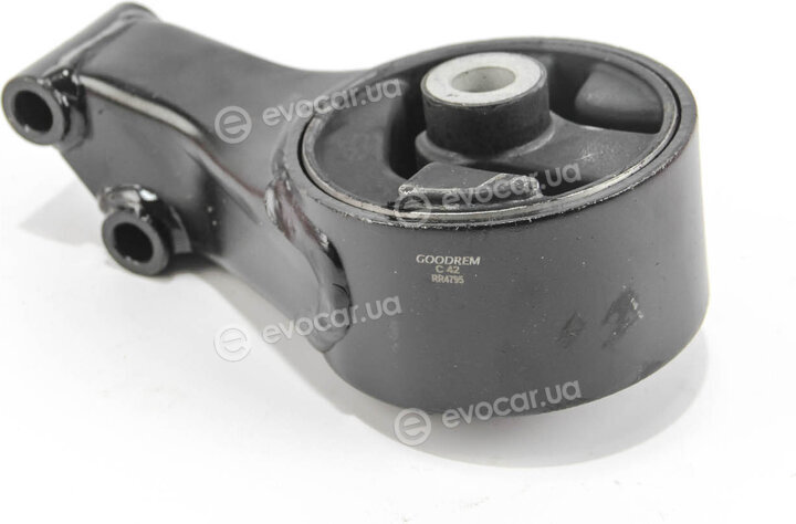Goodrem RR4795