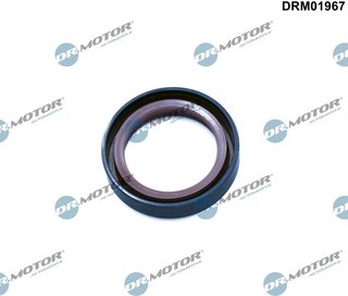 Dr. Motor DRM01967