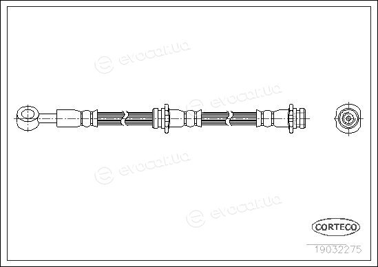 Corteco 19032275