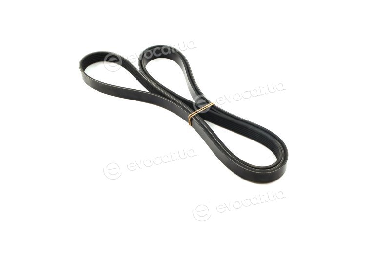 Dayco 6PK2385