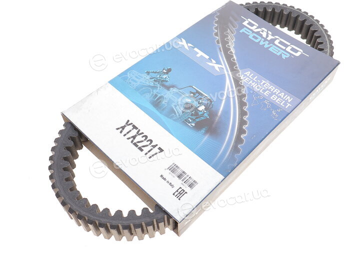 Dayco XTX2217