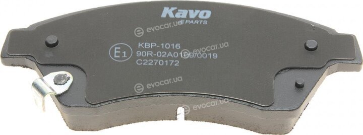 Kavo KBP-1016