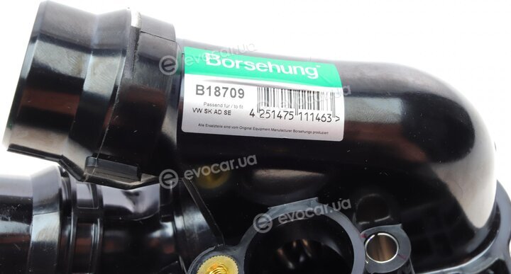 Borsehung B18709