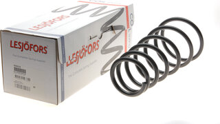 Lesjofors 4244216