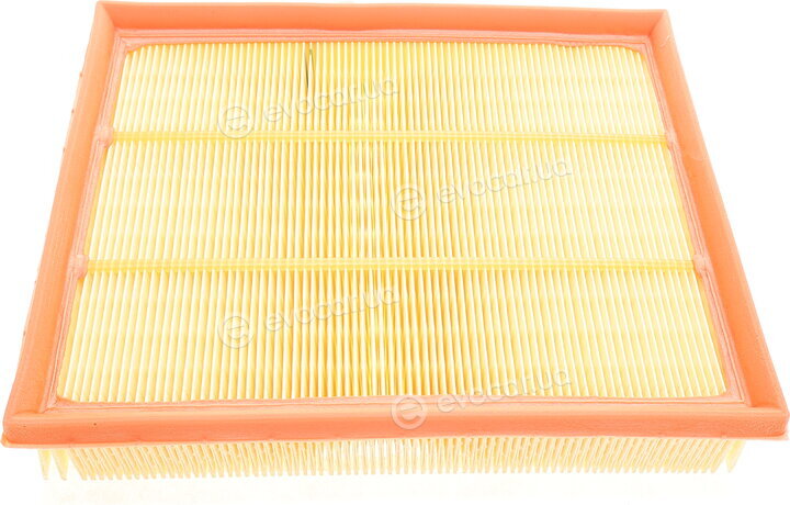 Mann C 26 010