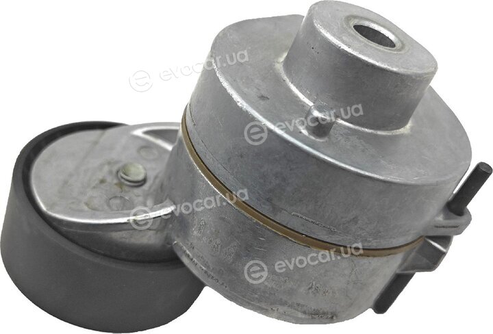 SKF VKM 31244