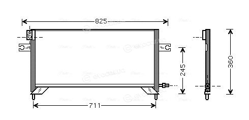 AVA DN5204