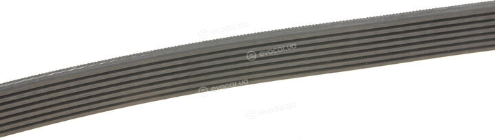 Gates 7PK1855