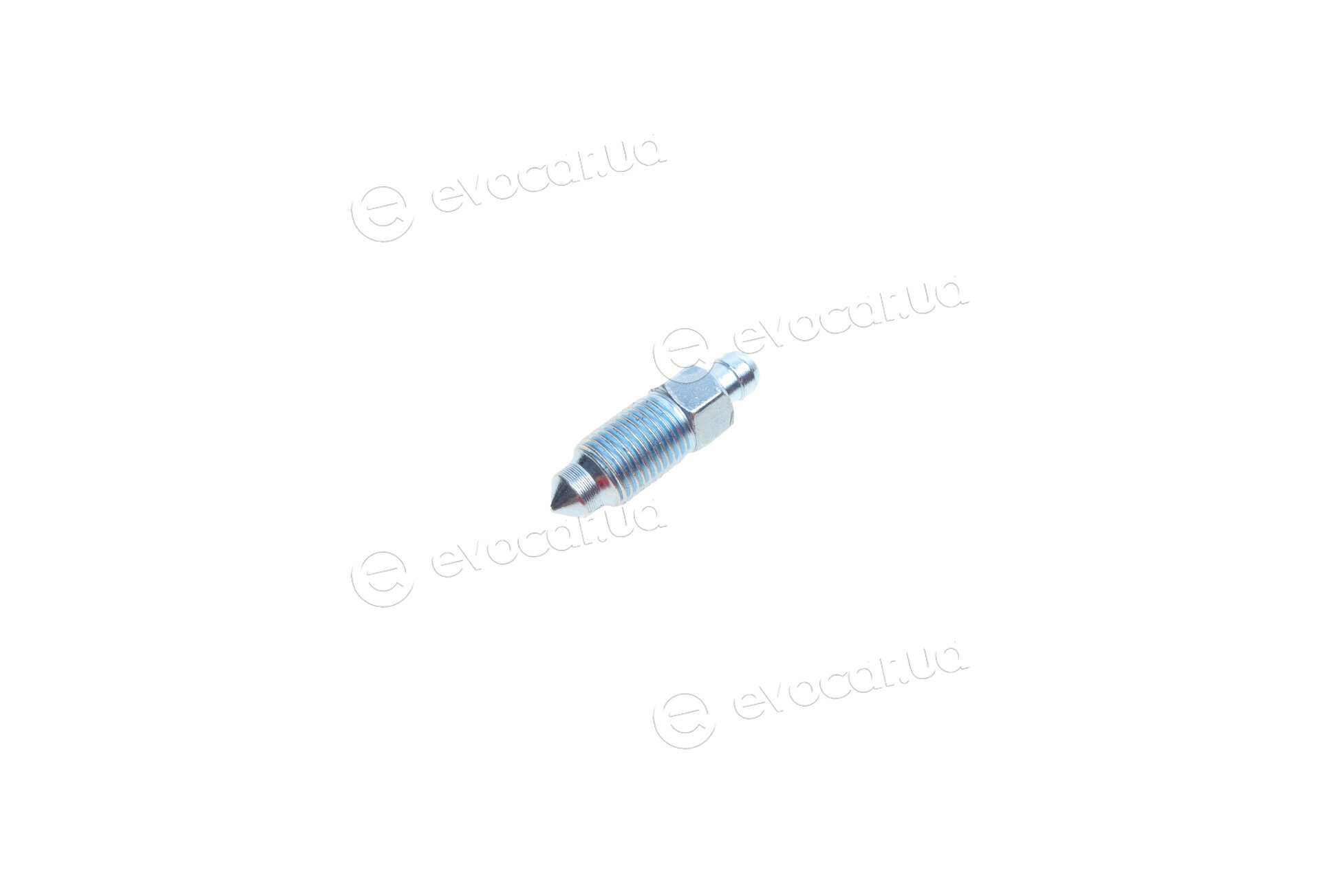 Blue Print ADG04434