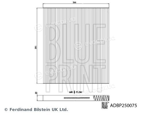 Blue Print ADBP250075