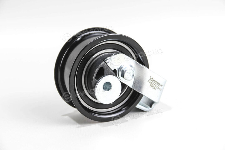 Michelin FM010569