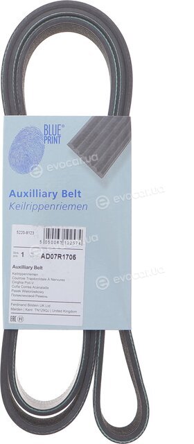 Blue Print AD07R1705
