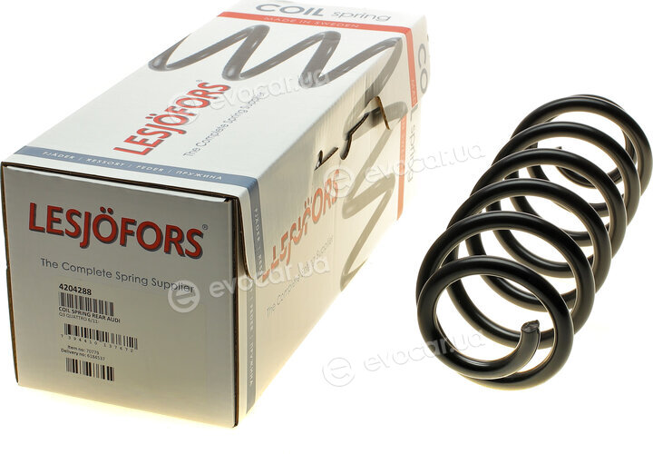 Lesjofors 4204288