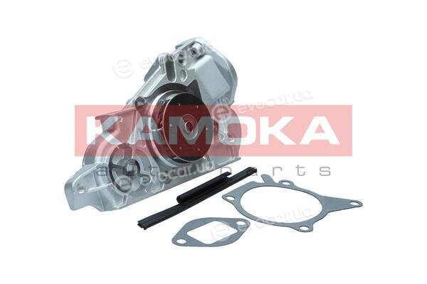 Kamoka T0177