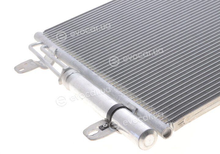 Van Wezel 58005291