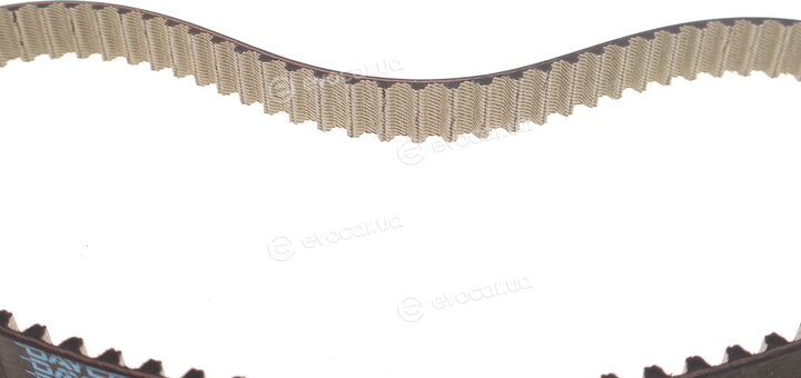 Dayco 94989