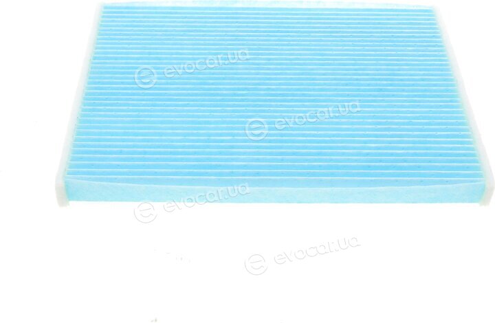Blue Print ADP152526