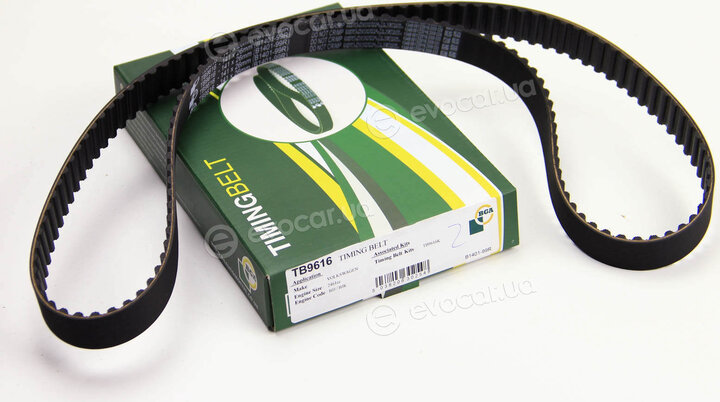 BGA TB9616