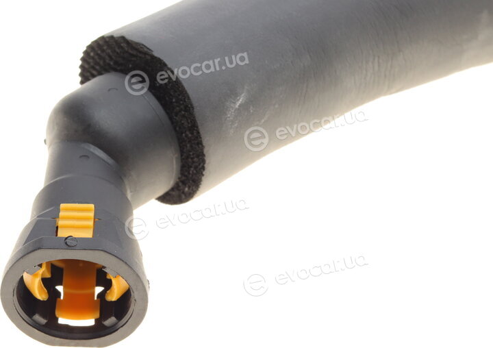 AIC 55544