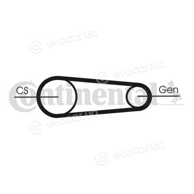 Continental 6PK831 ELAST T1