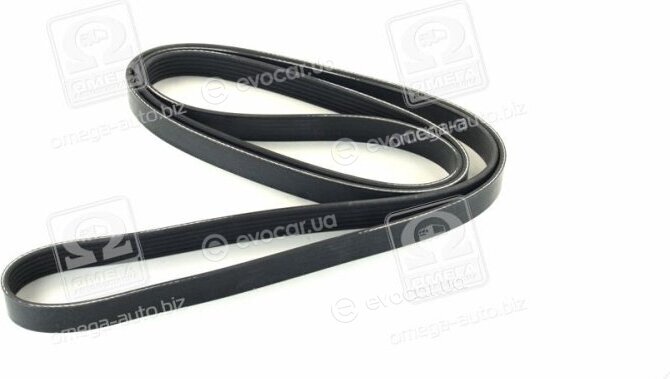 Dayco 6PK2440
