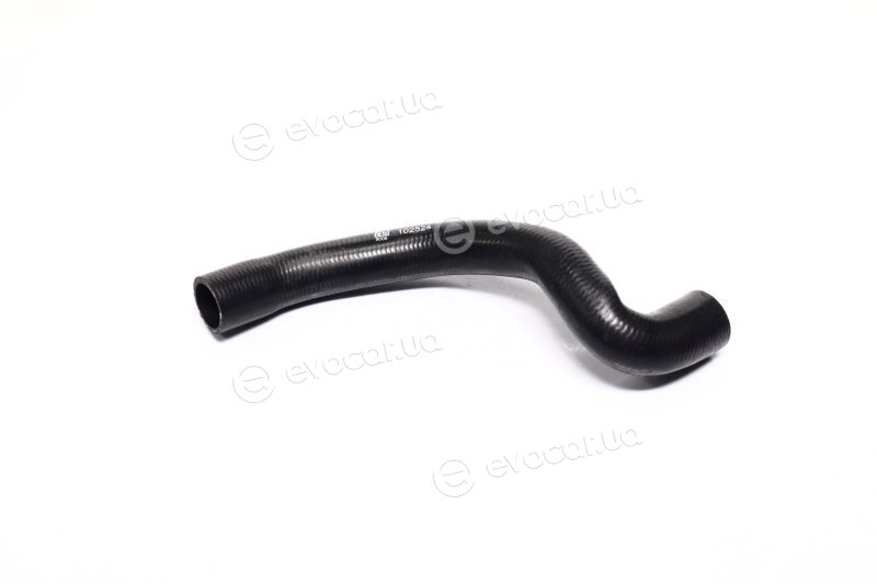Febi 102524